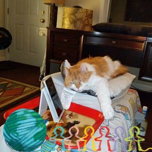 Meet your Posher, Bettye